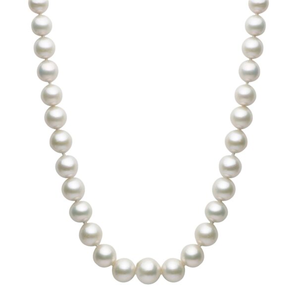 South Sea Pearl Strand Necklace - Image 2